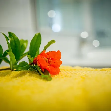 Apartamento Juric Apartments-rab *