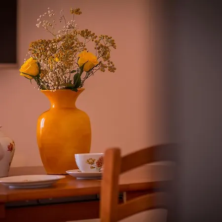 Juric Apartments-rab