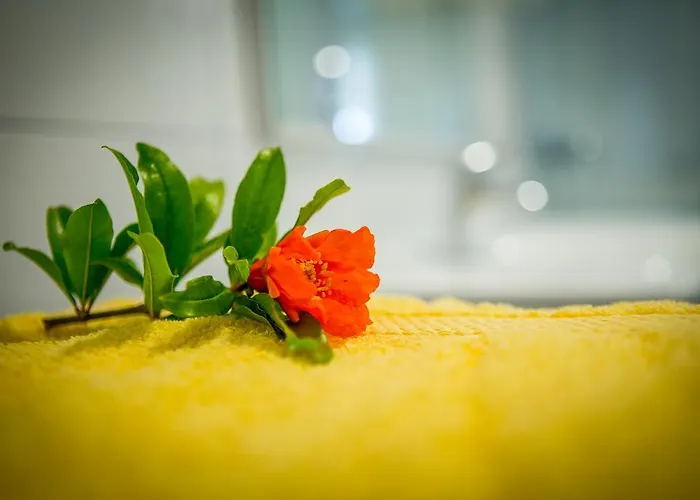 Апартаменты Juric Apartments-rab *